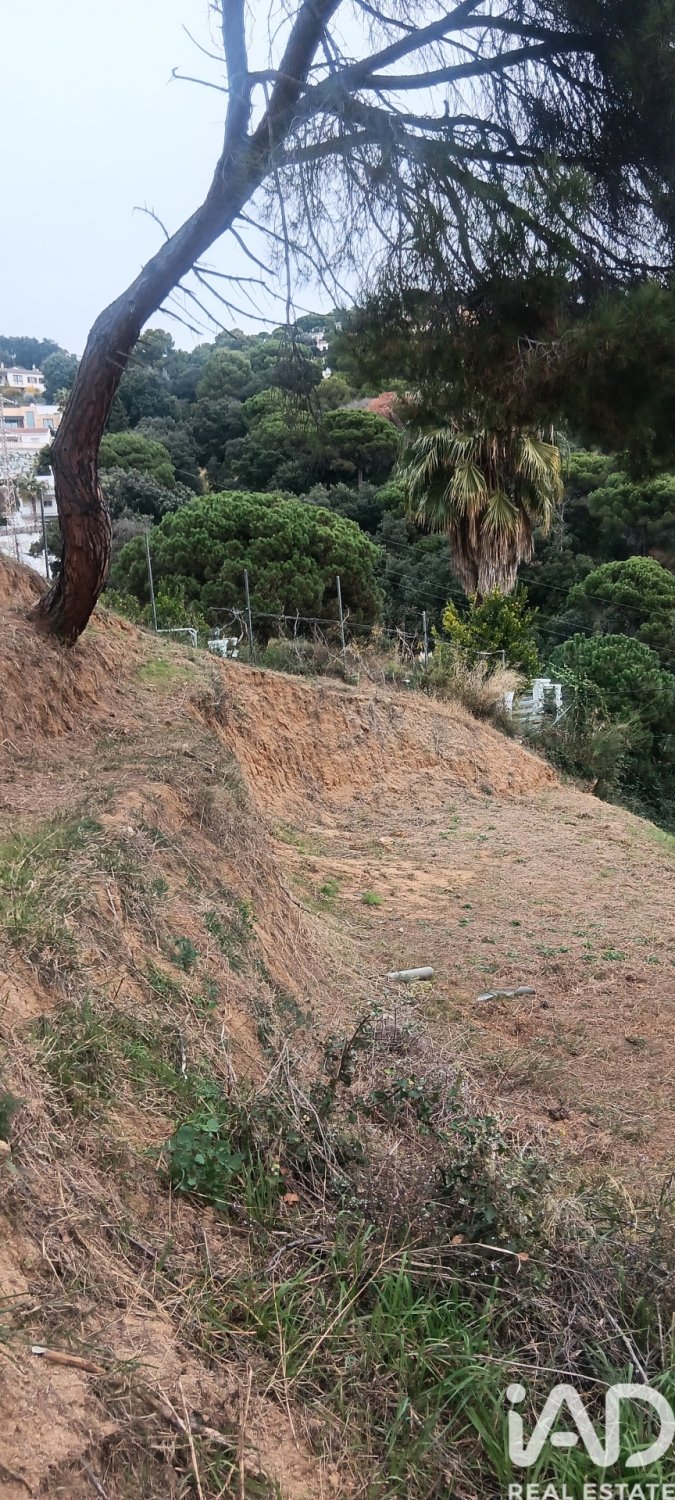 Terreno a Sant Cebria De Vallalta, Barcelona, Spagna 1020 mq. N° 185436