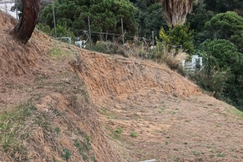 Terreno in vendita a Sant Cebria De Vallalta, Barcelona, Spagna 1020 mq. N° 185436 - foto 11