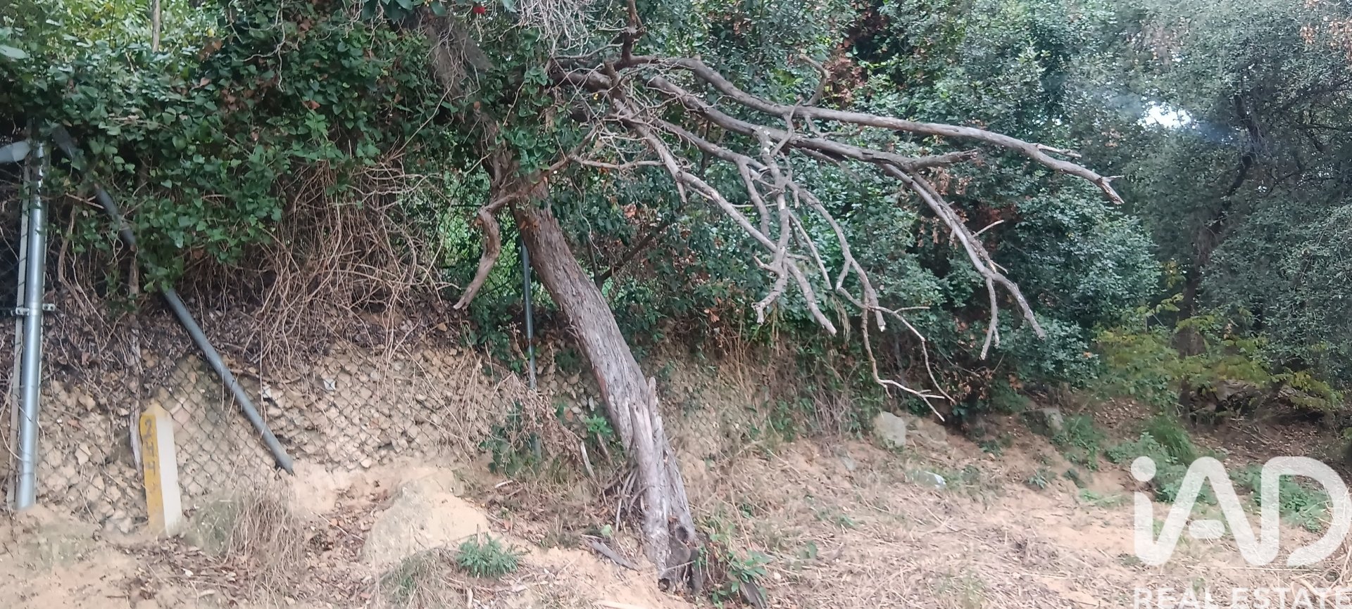 Terreno a Sant Cebria De Vallalta, Barcelona, Spagna 1020 mq. N° 185436