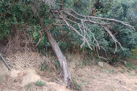 Terreno in vendita a Sant Cebria De Vallalta, Barcelona, Spagna 1020 mq. N° 185436 - foto 8