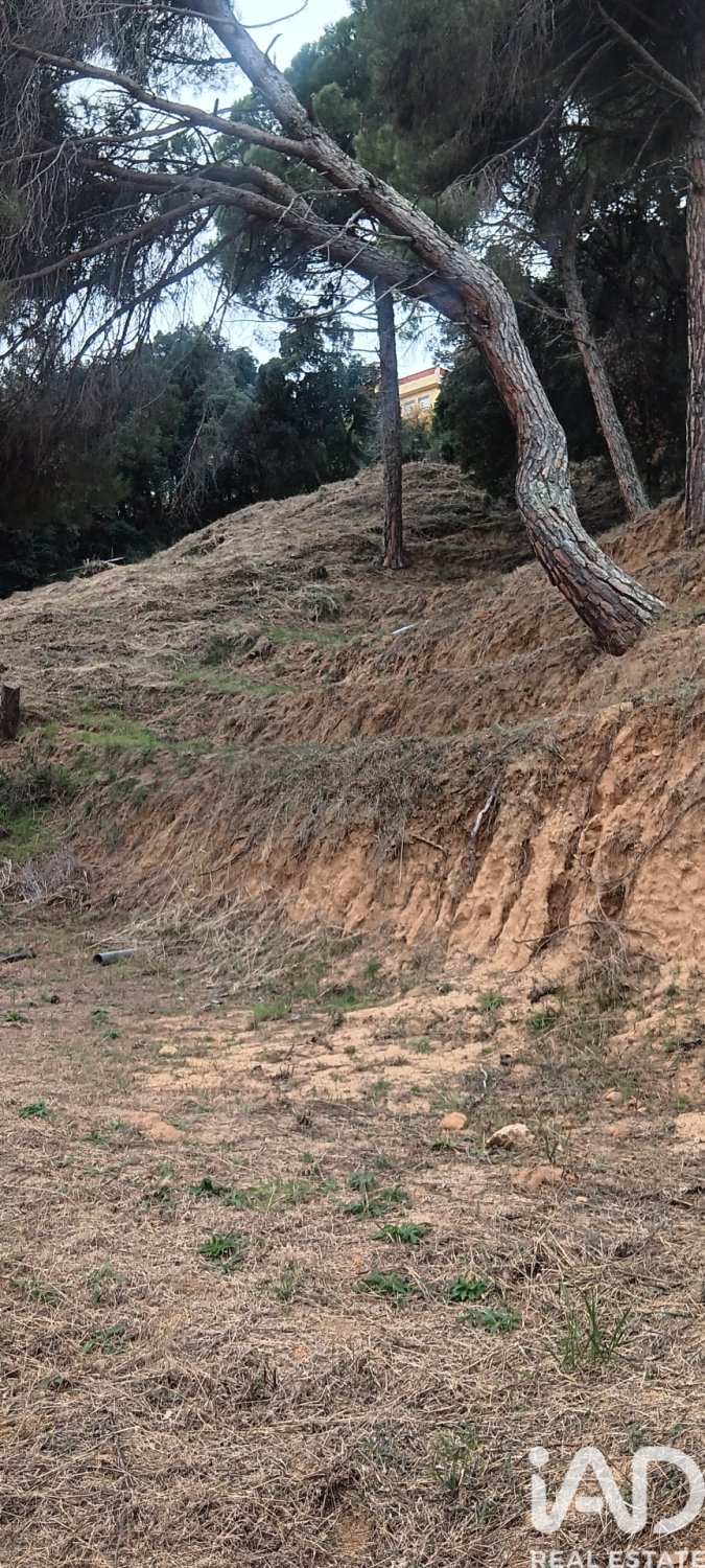 Terreno a Sant Cebria De Vallalta, Barcelona, Spagna 1020 mq. N° 185436