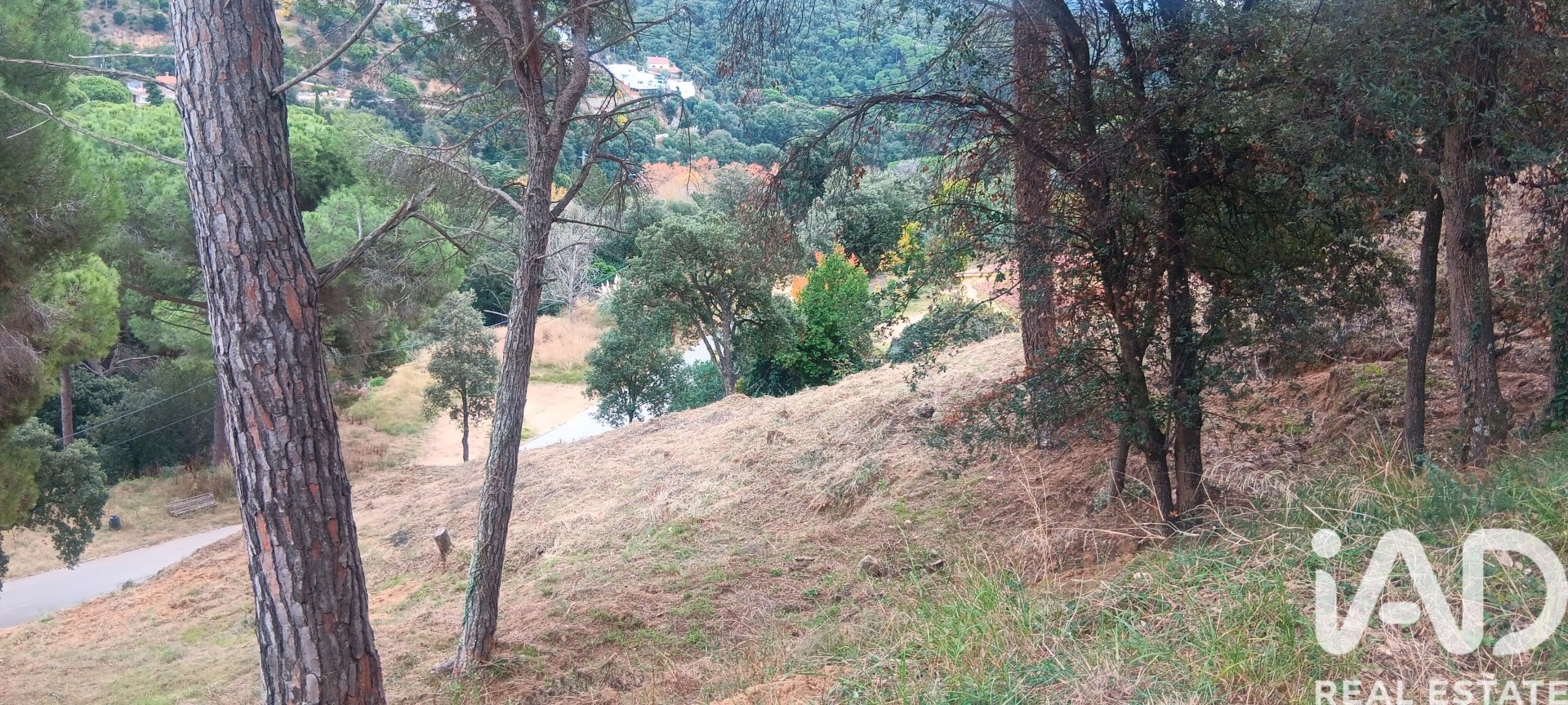 Terreno a Sant Cebria De Vallalta, Barcelona, Spagna 1020 mq. N° 185436