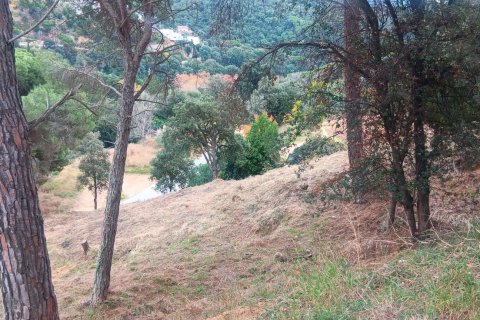 Terreno in vendita a Sant Cebria De Vallalta, Barcelona, Spagna 1020 mq. N° 185436 - foto 5