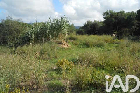 Zemes gabals pārdošanā Tordera, Barcelona, Spānijā 911 m2 Nr. 185437 - attēls 2