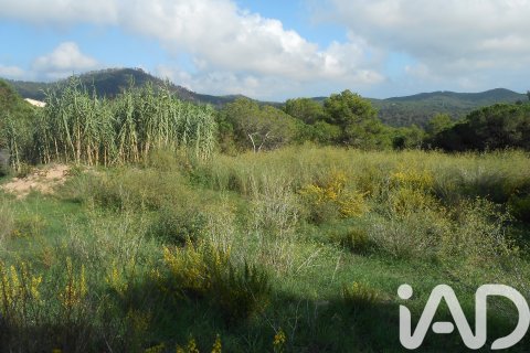 Terreno a Tordera, Barcelona, Spagna 911 mq. N° 185437