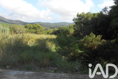 Zemes gabals pārdošanā Tordera, Barcelona, Spānijā 911 m2 Nr. 185437 - attēls 5