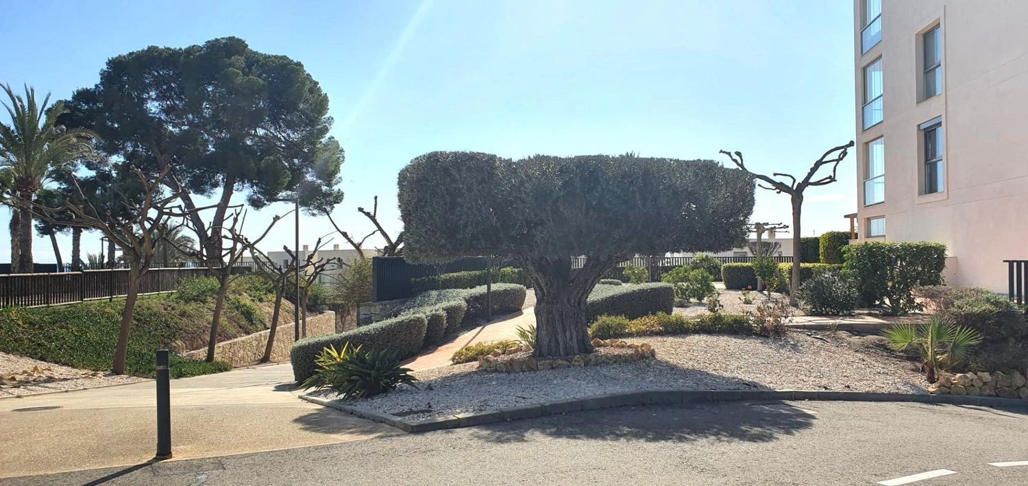 Villa i Villajoyosa, Alicante, Spanien 3 sovrum, 181 kvm. Nr. 133338