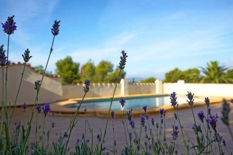 Villa till salu i Javea, Alicante, Spanien 3 sovrum, 266 kvm. Nr. 149027 - foto 6