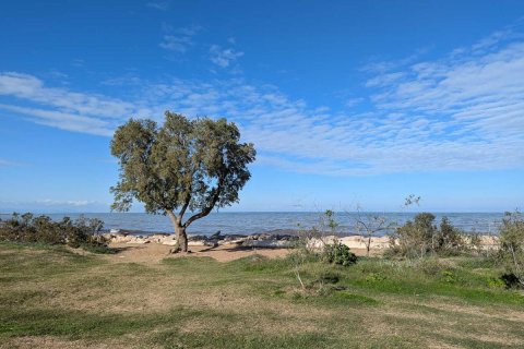 Casa adosada en venta en Dénia, Alicante, España 3 dormitorios, 82 m2 No. 149030 - foto 25