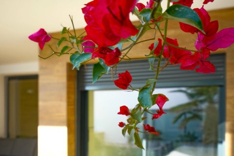 Apartament w Benitachell, Alicante, Hiszpania 2 sypialnie, 148 mkw. nr 149033 – zdjęcie 25