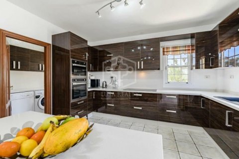 Villa for sale San Miguel de Abona, Tenerife, Spain 4 bedrooms, 306 sq.m. No. 111049 - photo 30