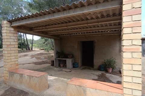Land plot for sale in El Perello, Tarragona, Spain 55000 sq.m. No. 185898 - photo 23