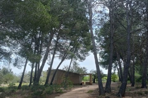 Land plot for sale in El Perello, Tarragona, Spain 55000 sq.m. No. 185898 - photo 4