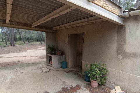 Land plot for sale in El Perello, Tarragona, Spain 55000 sq.m. No. 185898 - photo 12