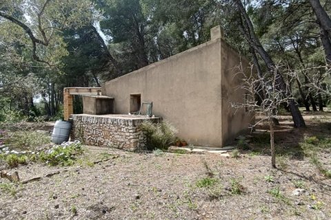 Land plot for sale in El Perello, Tarragona, Spain 55000 sq.m. No. 185898 - photo 9