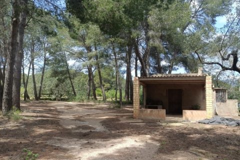 Land plot for sale in El Perello, Tarragona, Spain 55000 sq.m. No. 185898 - photo 10