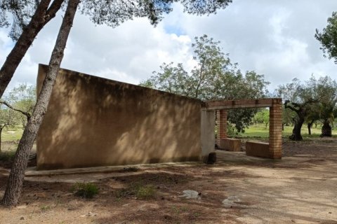 Land plot for sale in El Perello, Tarragona, Spain 55000 sq.m. No. 185898 - photo 14