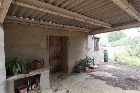 Land plot for sale in El Perello, Tarragona, Spain 55000 sq.m. No. 185898 - photo 17