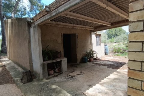 Land plot for sale in El Perello, Tarragona, Spain 55000 sq.m. No. 185898 - photo 21
