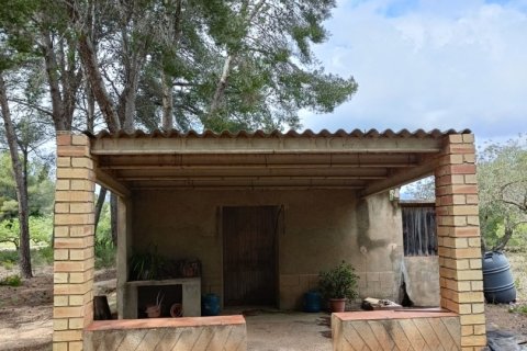 Land plot for sale in El Perello, Tarragona, Spain 55000 sq.m. No. 185898 - photo 15
