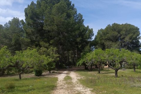 Land plot for sale in El Perello, Tarragona, Spain 55000 sq.m. No. 185898 - photo 11