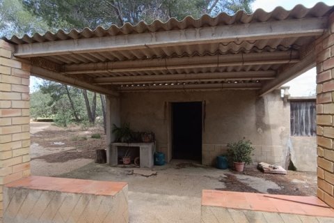 Land plot for sale in El Perello, Tarragona, Spain 55000 sq.m. No. 185898 - photo 2