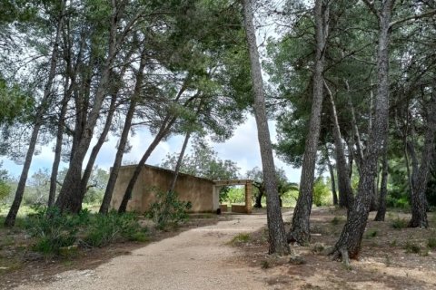 Land plot for sale in El Perello, Tarragona, Spain 55000 sq.m. No. 185898 - photo 16