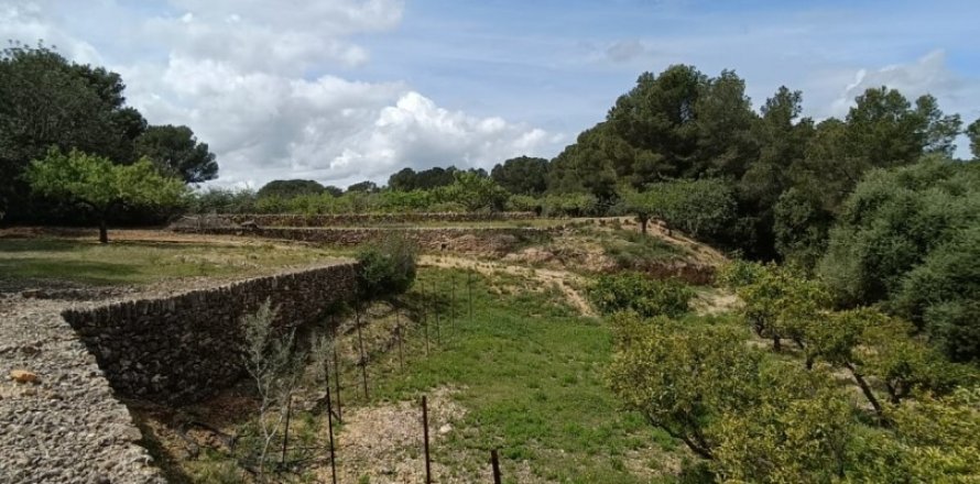 Land plot in El Perello, Tarragona, Spain 55000 sq.m. No. 185898