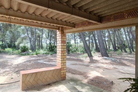 Land plot for sale in El Perello, Tarragona, Spain 55000 sq.m. No. 185898 - photo 8