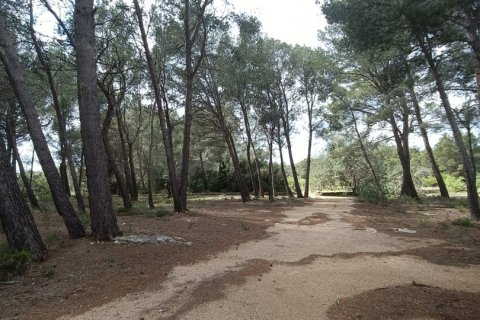 Land plot for sale in El Perello, Tarragona, Spain 55000 sq.m. No. 185898 - photo 13
