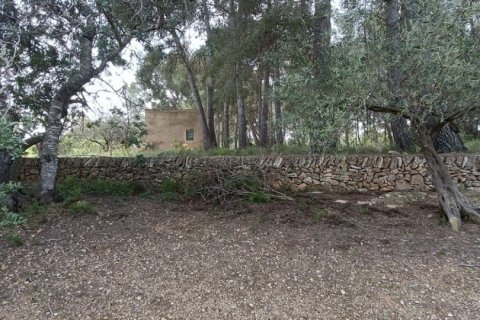 Land plot for sale in El Perello, Tarragona, Spain 55000 sq.m. No. 185898 - photo 6