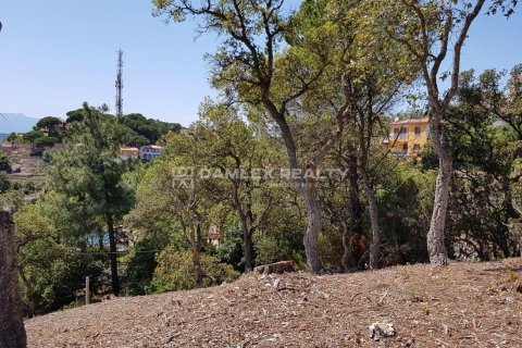 Willa w Lloret de Mar, Girona, Hiszpania 5 sypialni, 280 mkw. nr 176939 – zdjęcie 22