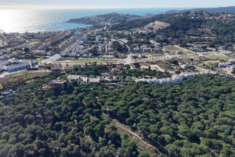 Tontti myytävänä S'Agaro, Girona, Espanja , 6860 m2 No. 176938 - kuva 4