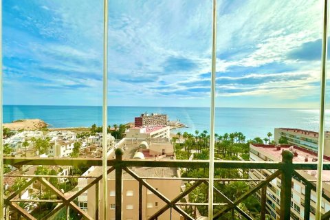 Apartment à vendre à Torrevieja, Alicante, Espagne, 3 chambres, 95 m2 No. 155636 - photo 9