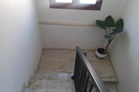 Rindu māja pārdošanā Roldan, Murcia, Spānijā 4 istabas, 325 m2 Nr. 149803 - attēls 7