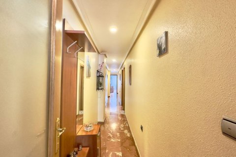 Продажа квартиры в Торревьеха, Аликанте, Испания 4 спальни, 120м2 №149800 - фото 12