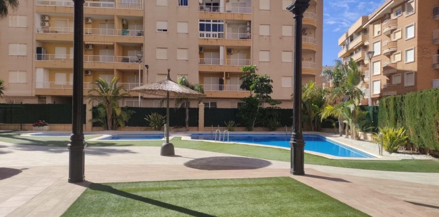 Attico a Torrevieja, Alicante, Spagna 3 camere da letto, 155 mq. N° 165173